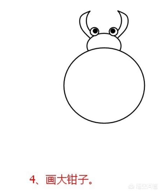 巨型蜘蛛蟹怎么画_巨型蜘蛛蟹怎么画好看