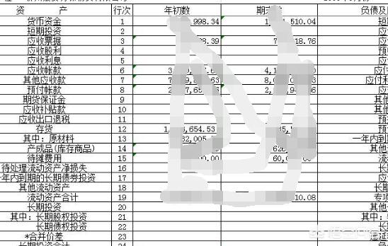 资产负债表表格电子版，资产负债表表格电子版免费下载