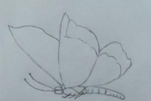 2b29900039df1f62523d2