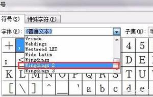 方框里打钩Word文件怎么在方框里打钩
