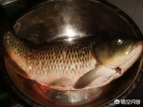 鲤鱼汤-鲤鱼汤的功效与作用