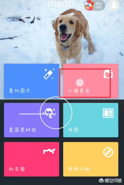 如何成功减肥变瘦女生图片大全视频教程下载
