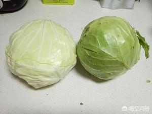 耗油大头菜的做法小视频