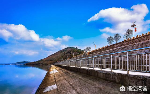 高端单反相机（十大顶级的ccd相机？）