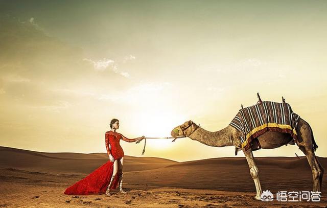 如何拍摄具有宁夏特色的沙漠婚纱照？