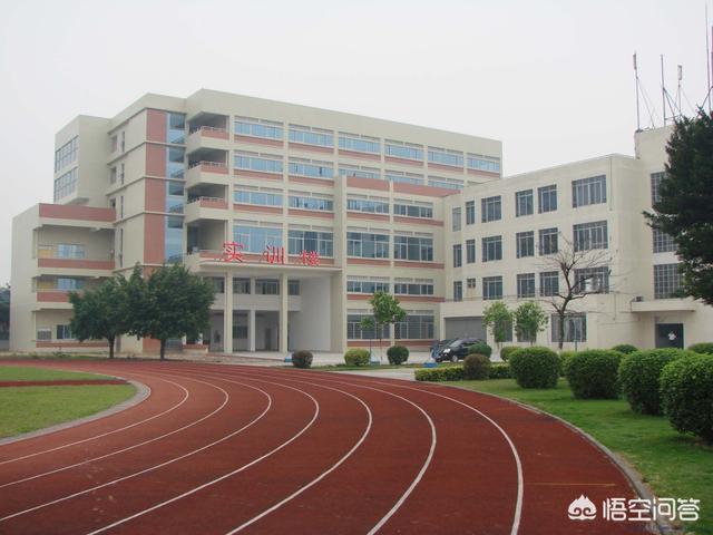 学校意外保险赔偿标准是多少钱学生意外保险赔付比例及报销流程是啥？