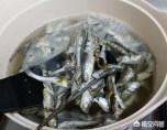 猫咪吃的小鱼干怎么弄碎(图3)