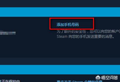 steam手机令牌下载 steam手机令牌-第4张图片-Game优搜