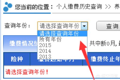 社保缴费记录如何查询，以往社保缴费记录如何查询