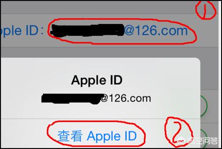 app开发工具中文