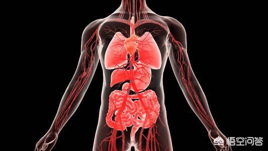 各种水果怎么调理身体(图1)