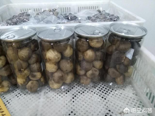 开小工厂项目(想在农村开厂子，但是不知道做什么好，大家给个建议？)