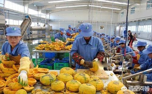 在家做代加工(我想在家开个小型加工厂，生产东西卖或者批发，生意太难做了，还有什么好的项目？)