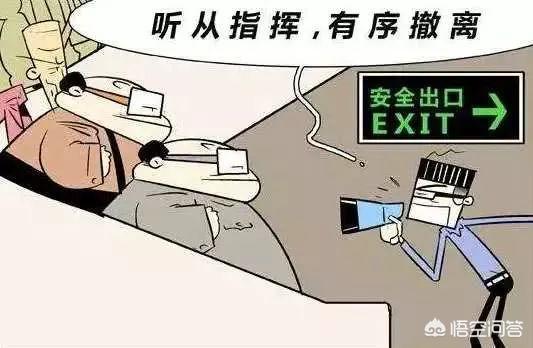 2b29b00021b84a0dc6b16