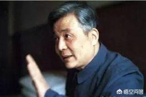 邓稼先儿子（邓稼先儿子女儿）