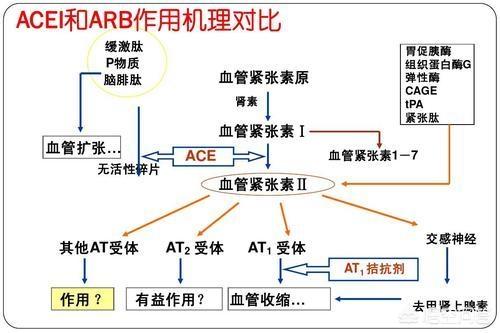 血压吃药吃低了怎么办(图2)