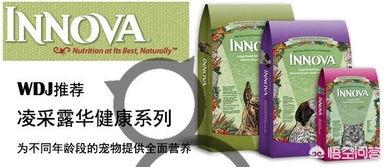 有哪些猫粮品牌值得推荐