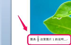 免费插画搭建网站