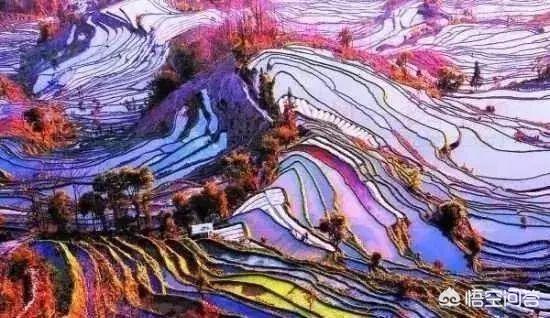 云南游必去的景点推荐(图21)