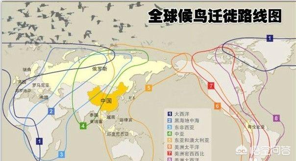 全国路线图-自驾游全国路线图