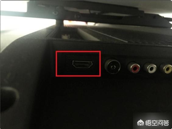 cc猫（ccfc名猫协会？）