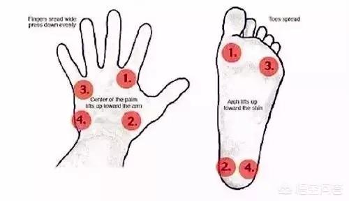 练习瑜伽上犬式和下犬式有什么好处,第9张