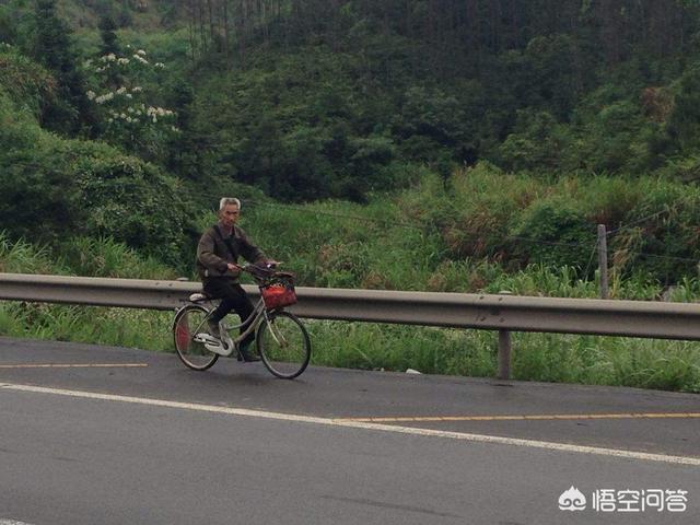 [高速路突现行人]高速撞行人，行人需要承担赔偿责任吗？