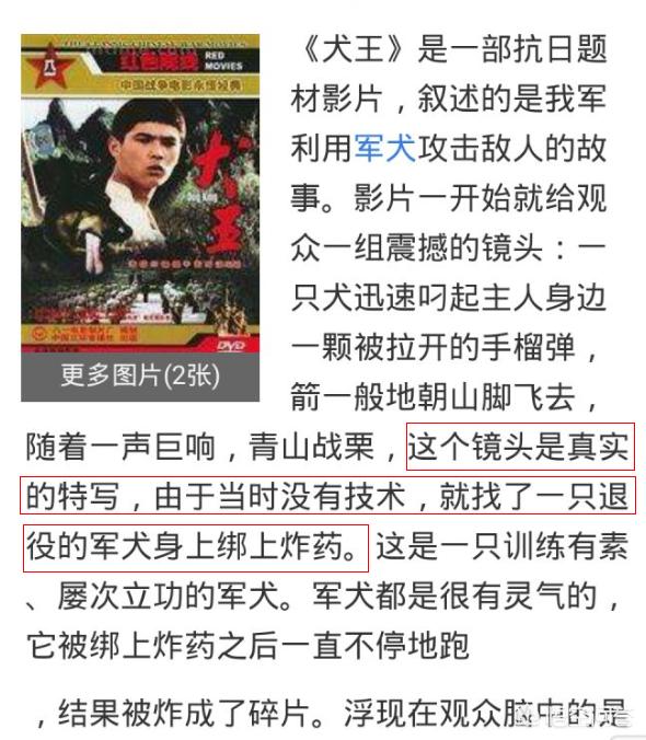 我们这一家动画片，我们这一家动画片全集