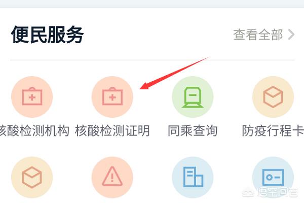 如何在手机上查询武汉核酸检查结果？