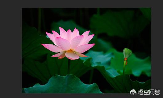 怎么压缩图片200k以下(图1)