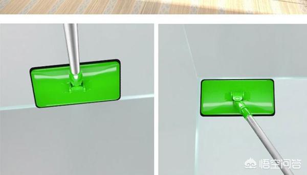 鱼缸里长青苔怎么清理,第4张