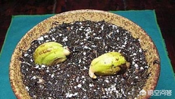 小孩吃剩的水果怎么处理(图5)