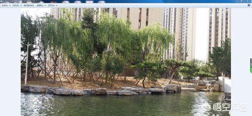 [桌面图片怎么设置]华为手机屏幕图片设置方法？