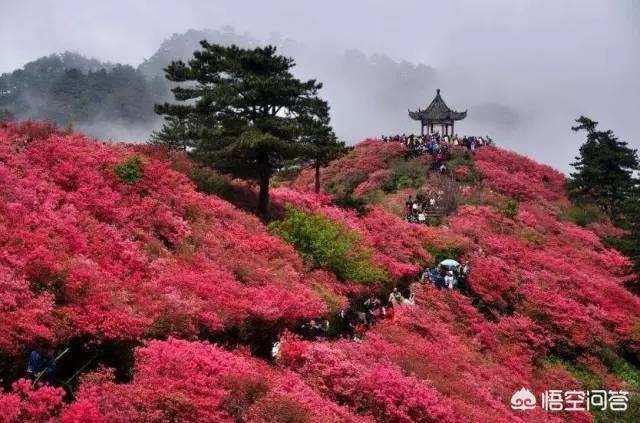 四川麻城旅游景点大全， 四川麻城旅游景点大全图片