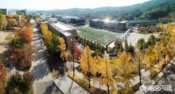 学音乐出国留学，学音乐出国留学有用吗