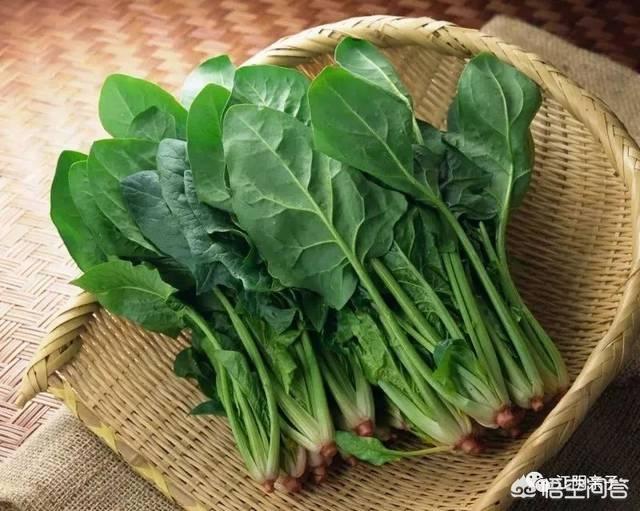 儿童人生第一道菜的做法(图2)