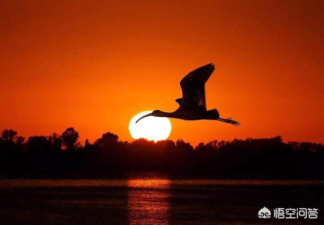 秋水长天乱红颜_秋水长天乱红颜听书