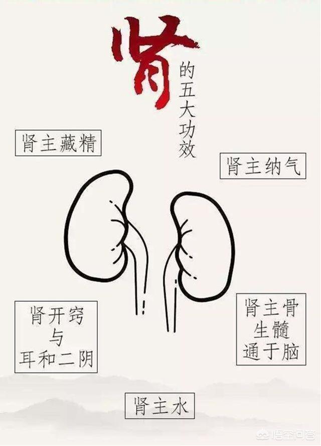 男人肾阳虚有什么症状(图2)