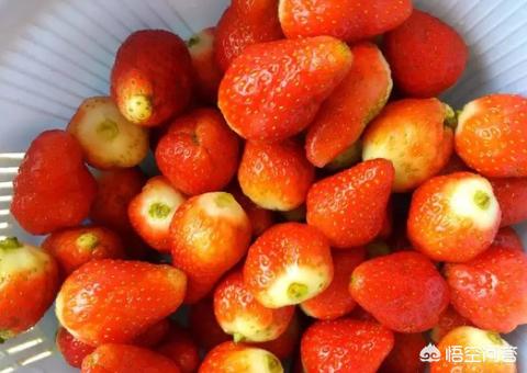 草莓果酒怎么吃才好喝