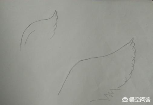 画翅膀教程,画翅膀教程简单好看