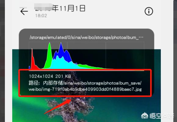 下载相册到手机（相册里的照片怎么下载？）