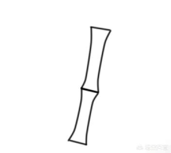 竹子简笔画怎么画竹子？