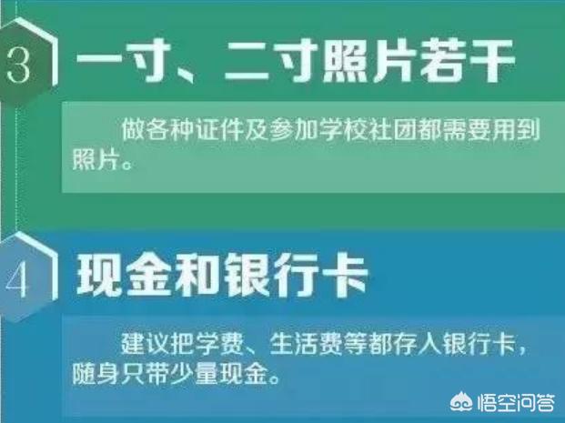 目前大学生最需要的东西,目前大学生最需要的东西是什么