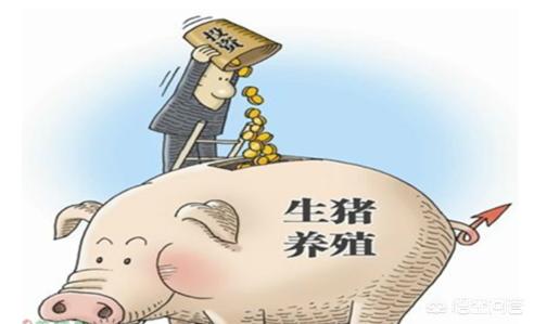 汕头德兴饲料-汕头德兴饲料厂地址