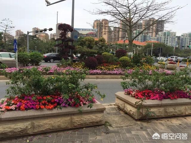 去深圳打工怎么样？