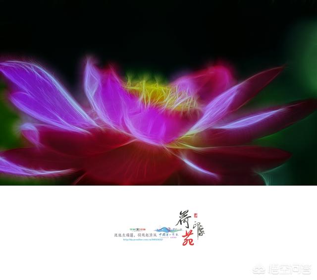 黑暗的图片（如何在光线暗的条件下拍出清晰的照片？）