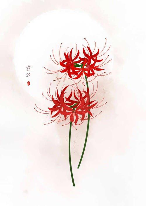 彼岸花碰到血会怎样（彼岸花碰到血会怎样呢）