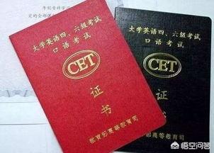 六級網(wǎng)考成績查詢-六級網(wǎng)考成績查詢入口官網(wǎng)