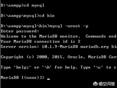 如何查看mysql的用户名和密码？mysql密码忘记了怎么办？