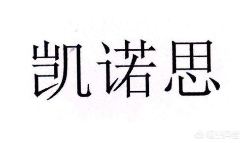 播放器排行播放器排行榜前十名